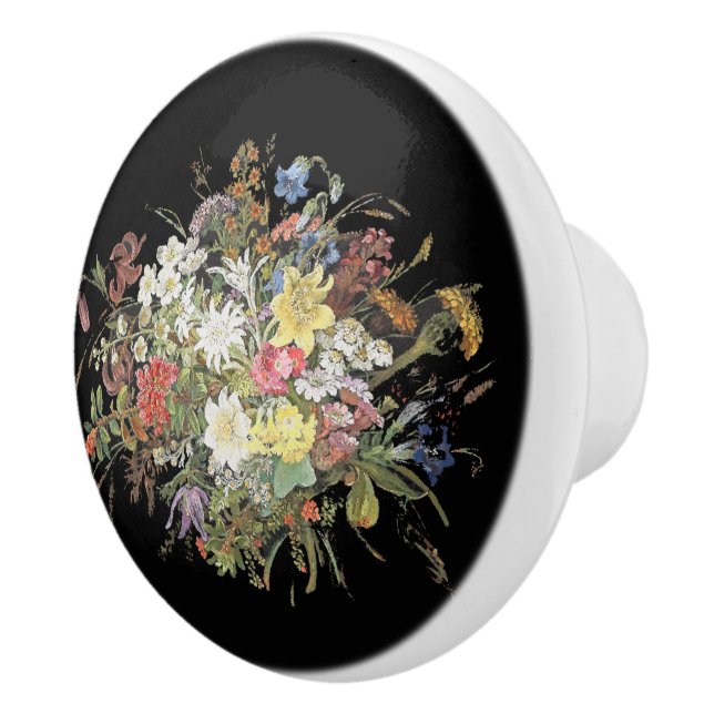 Alpine Wildflower Flowers Edelweiss Knob (Right)