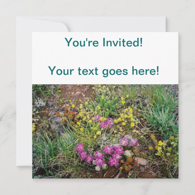 Alpine Wildflower Invitations (Front)