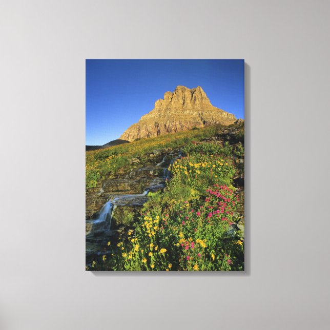 Alpine wildflowers & Mt Clements at Logan Pass Canvas Print (Front)