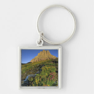 Alpine wildflowers & Mt Clements at Logan Pass Keychain