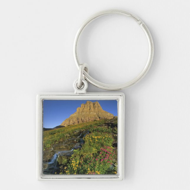 Alpine wildflowers & Mt Clements at Logan Pass Keychain (Front)