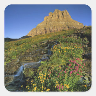 Alpine wildflowers & Mt Clements at Logan Pass Square Sticker