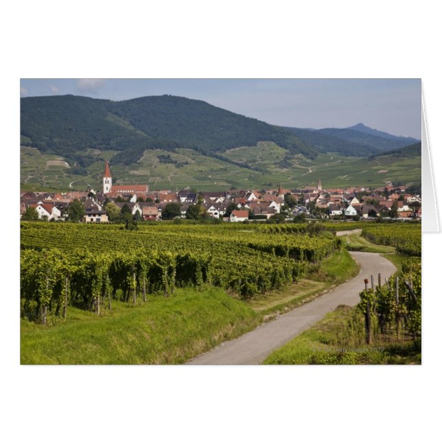 Alsace, France (Front Horizontal)
