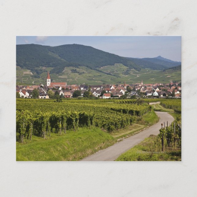 Alsace, France Postcard (Front)