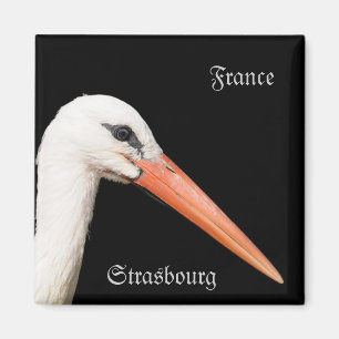 Alsace, Strasbourg Magnet
