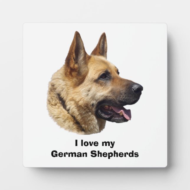 Alsatian German shepherd dog portrait Plaque (Front)