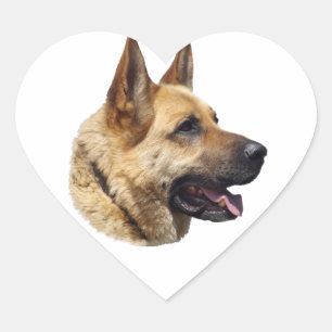 Alsatian German shepherd portrait Heart Sticker