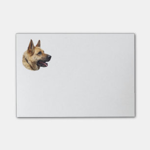 Alsatian German shepherd portrait Post-it Notes