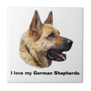 Alsatian German shepherd portrait Tile