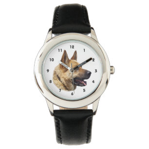 Alsatian German shepherd portrait Watch