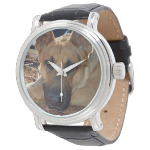 Alsatian Sleepy Entitlement,  Watch
