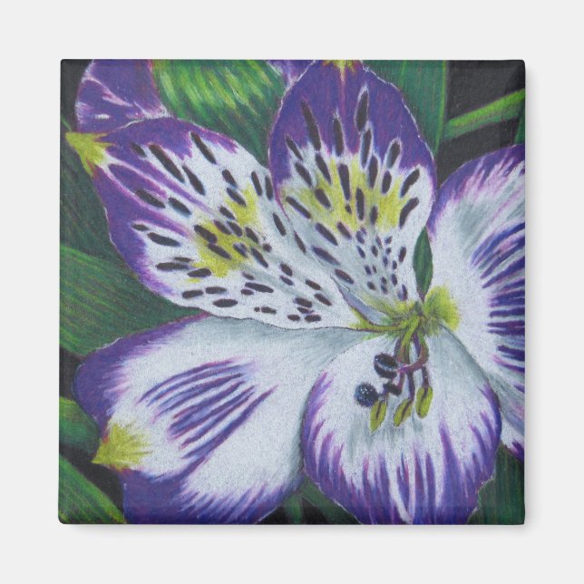 Alstroemeria Magnet (Front)