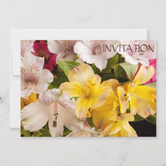 Alstroemeria (Peruvian Lily) Invitation