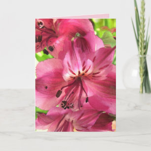 Alstroemeria Valentine Holiday Card