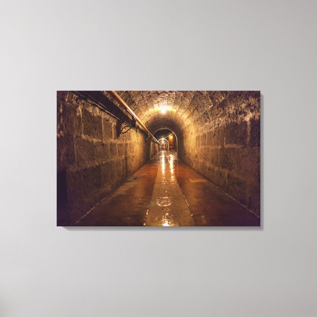 Alte Saline Salt Mine Tunnel Canvas Print (Front)
