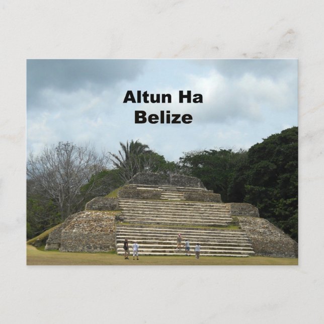 Altun Ha, Belize Postcard (Front)