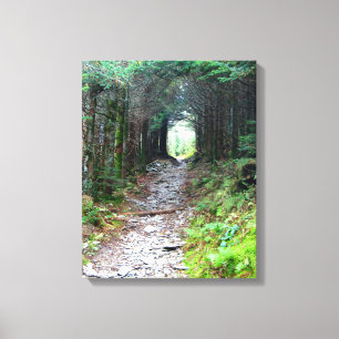 Alum Cave Trail on Mt. LeConte Canvas Print