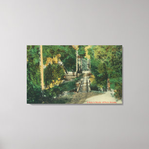 Alum Rock Park Picnic Grounds Vista View Canvas Print