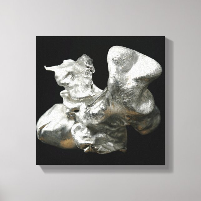 Aluminum Canvas Print (Front)