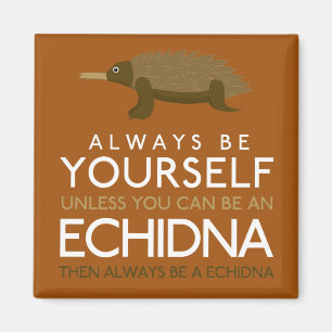 Always Be Yourself Unless You Can Be A Echidna Magnet