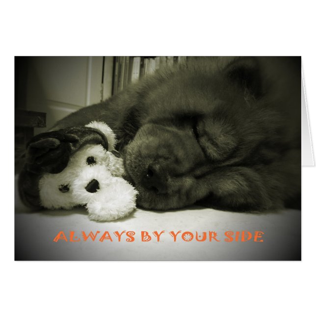 Always By Your Side (Front Horizontal)