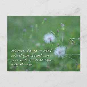 Always do your best - motivational quotes postcard