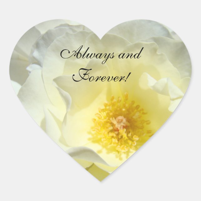Always & Forever! stickers Pastel White Rose (Front)