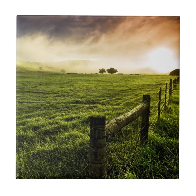 Always Greener on the Other Side Tile (Front)