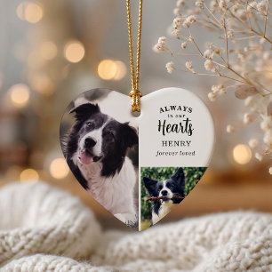 Always In Our Hearts 5 Photo Pet Memorial Ceramic Ornament