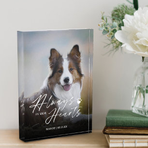 Always In Our Hearts Pet Photo Memorial