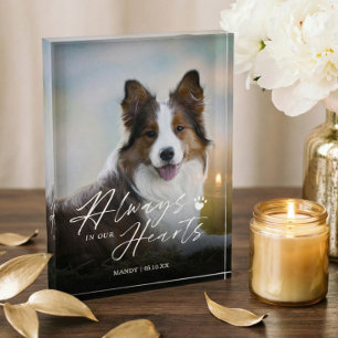 Always In Our Hearts Pet Photo Memorial Block