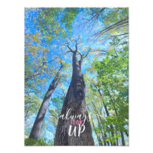 Always Look Up autumn sky and leaves  Photo Print