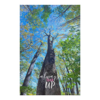 Always Look Up autumn sky and leaves  Poster