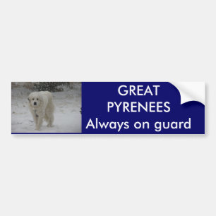 Always on guard bumper sticker