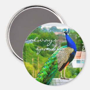 Always sparkle beautiful blue green peacock photo magnet