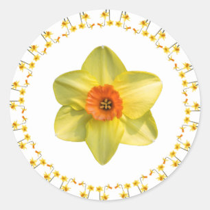 Always Spring Classic Round Sticker