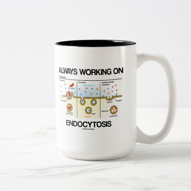 Always Working On Endocytosis (Cellular Eating) Two-Tone Coffee Mug (Right)