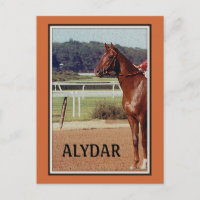 Alydar Belmont Stakes Post Parade 1978
