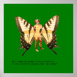 Am I a woman who dreamt of being a butterfly? Poster