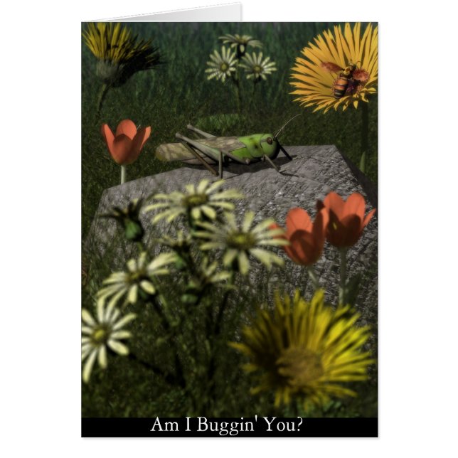 Am I Buggin' You? (Front)