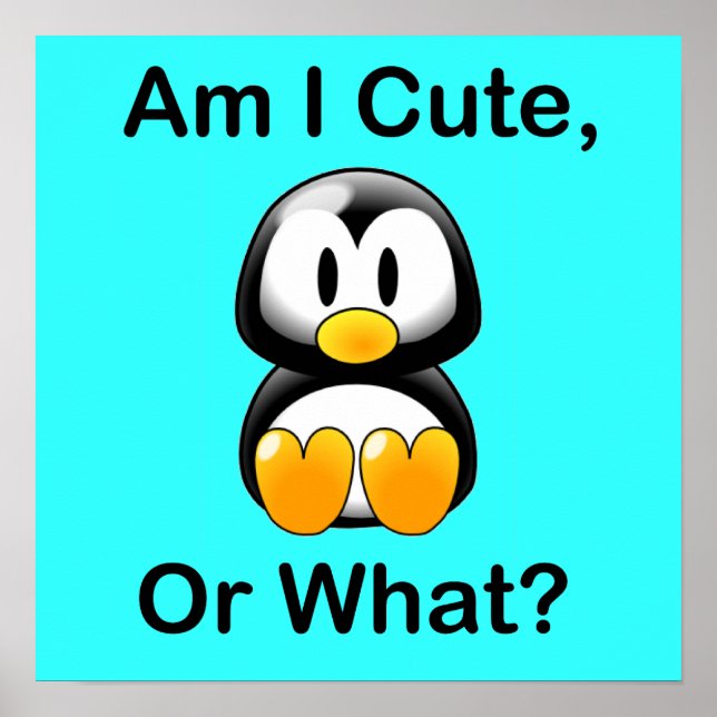 Am I Cute, Or What? Poster (Front)