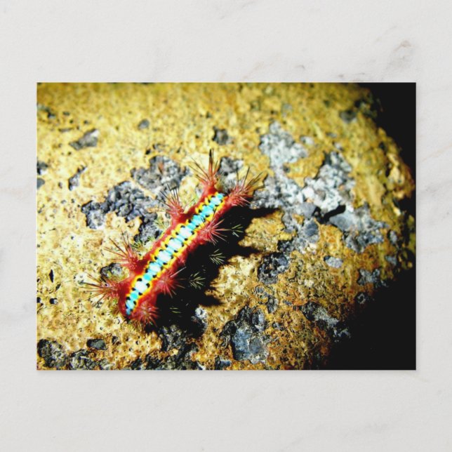 Am I Different to You?/Night Out Beauty Postcard (Front)