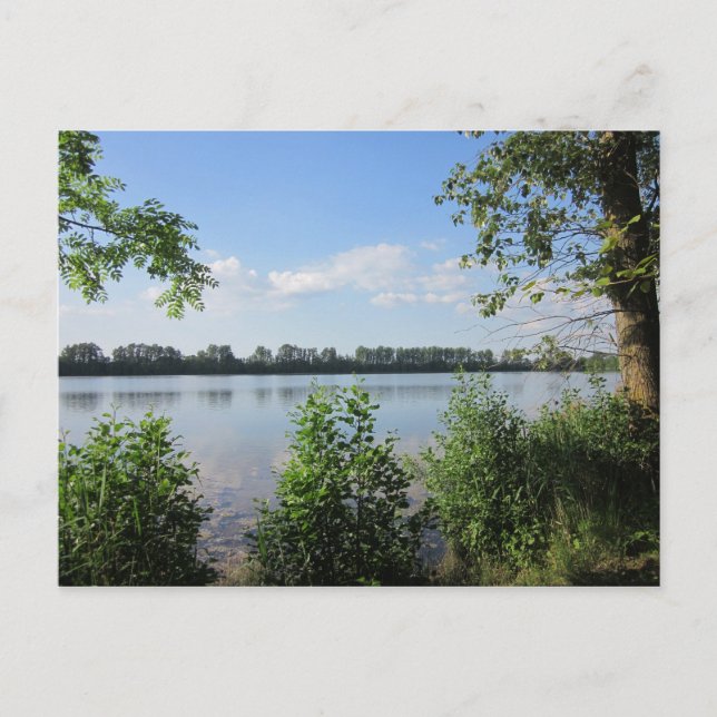 Am Natursee Postcard (Front)