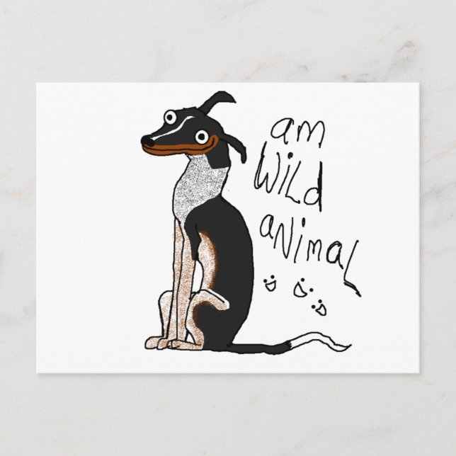 Am Wild Animal Postcard (Front)