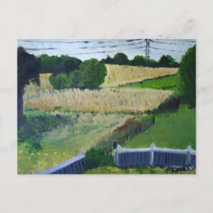 Amagansett Field Postcard