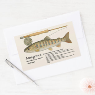 Amago (Oncorhynchus masou ishikawae) – English Sticker