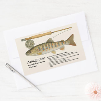 Amago (Oncorhynchus masou ishikawae) – English Sticker