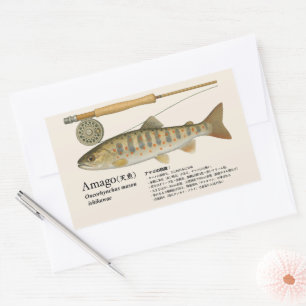 Amago (Oncorhynchus masou ishikawae) – Japanese Sticker