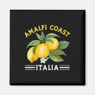 Amalfi Coast Town Italian Lemons Italy Magnet