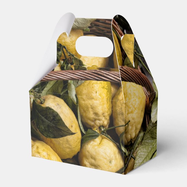 Amalfi Lemon Basket Favor Box (Front Side)